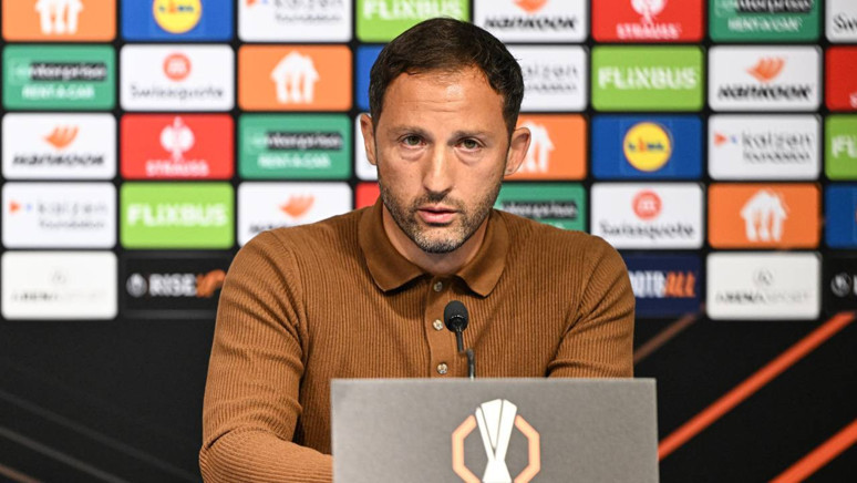 fenerbahce teknik direktoru domenic hcdi