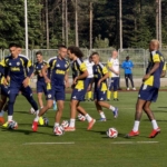fenerbahcede-kadro-avusturya-kampinda-sekillenecek-b6gsWSGj.jpg