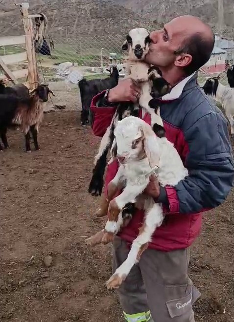 fenomen cobanin oglak sevgisi yurekleri isitti 4