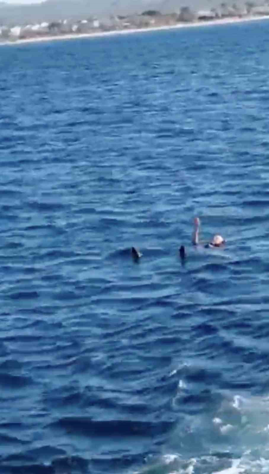 Feribottan atlayan kişiyi Gestaş personelleri ve balıkçılar kurtardı 7 feribottan atlayan kisiyi gestas personelleri ve balikcilar kurtardi 3 O9nd75rM