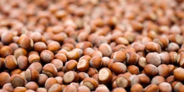 ferrero-degerli-tarim-programi-tedarik-zincirimizi-daha-dayanikli-hale-getirdi-eBRjXxkz.jpg