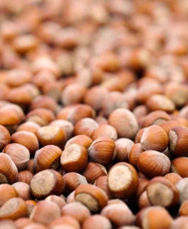 ferrero-degerli-tarim-programi-tedarik-zincirimizi-daha-dayanikli-hale-getirdi-eBRjXxkz.jpg
