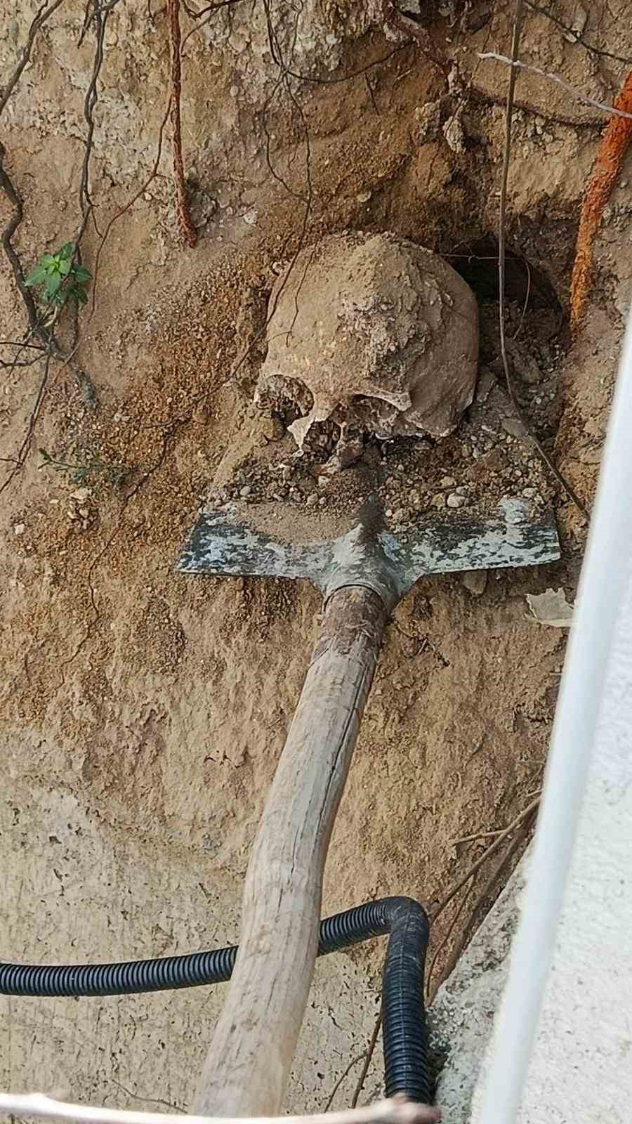 fidan dikimi sirasinda insan kafatasi ve kemik parcalari bulundu 4 AAnSn9Wk