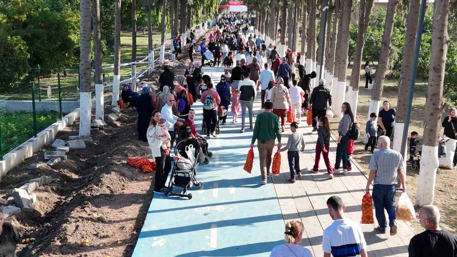 filesini eline alan vatandaslar dalindan bedava narenciye topladi 0 aSbwYNqd