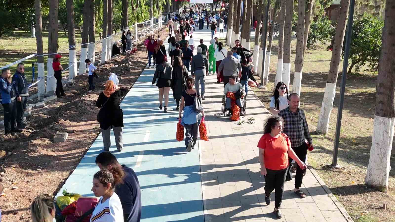 filesini eline alan vatandaslar dalindan bedava narenciye topladi 4 m24QJIEt