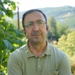 findik-toplama-hizini-3-4-kat-artiriyor-profesorden-file-ortu-onerisi-nGPr7gr6.jpg