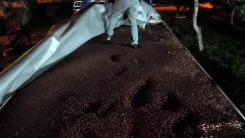 Fındıkla kamufle edilen tırdan 30 milyonluk kaçak makaron çıktı: 4 gözaltı 4 findikla kamufle edilen tirdan 30 milyonluk kacak makaron cikti 4 gozalti 0 Rv2Q6spA