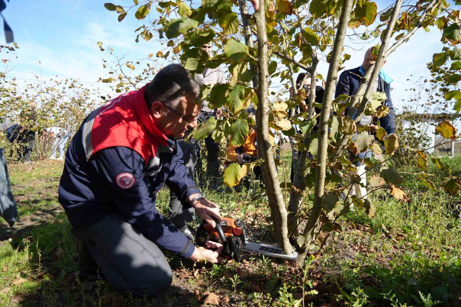 findikta cok dal cok findik anlamina gelmiyor 6