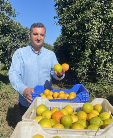 finikede-portakal-sezonu-basladi-250-bin-ton-rekolte-bekleniyor-j2yPzbIR.jpg