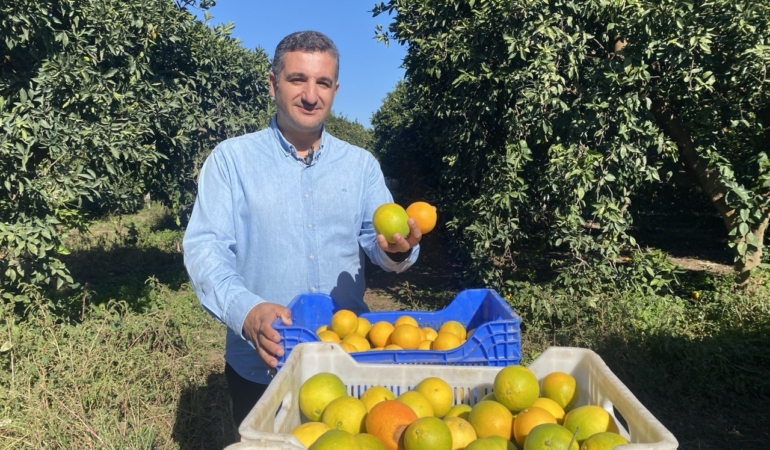 finikede-portakal-sezonu-basladi-250-bin-ton-rekolte-bekleniyor-j2yPzbIR.jpg