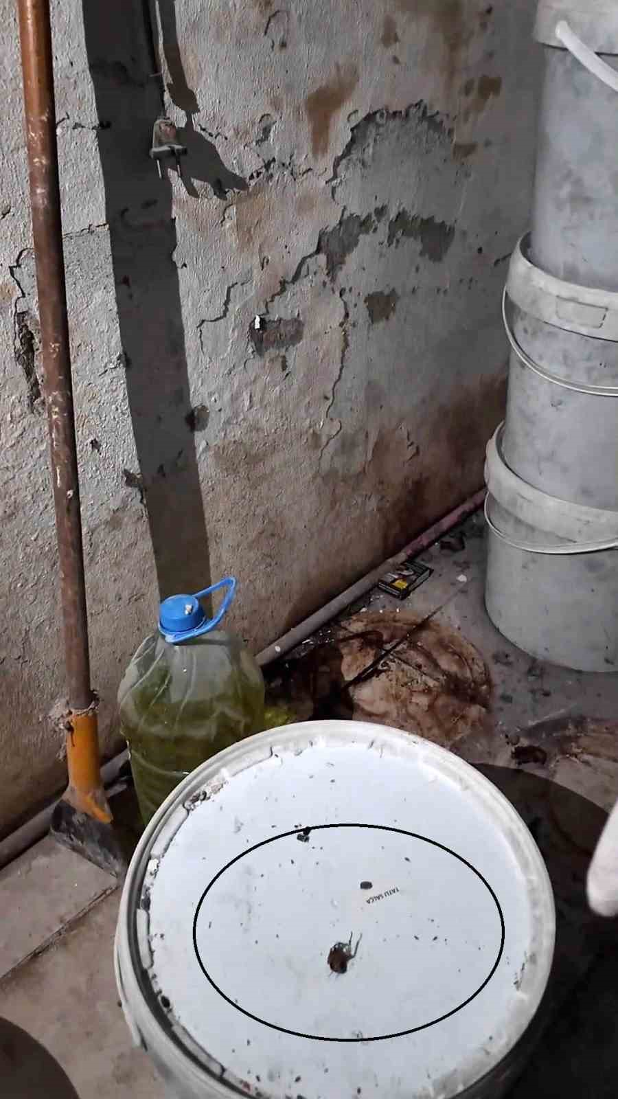 Fırında ortaya çıkan görüntülere tepki gösteren zabıta müdürü: "Fareyi geçtim, yılan çıkacak diye korkuyorum" 5 firinda ortaya cikan goruntulere tepki gosteren zabita muduru fareyi gectim yilan cikacak diye korkuyorum NR8aYFkR