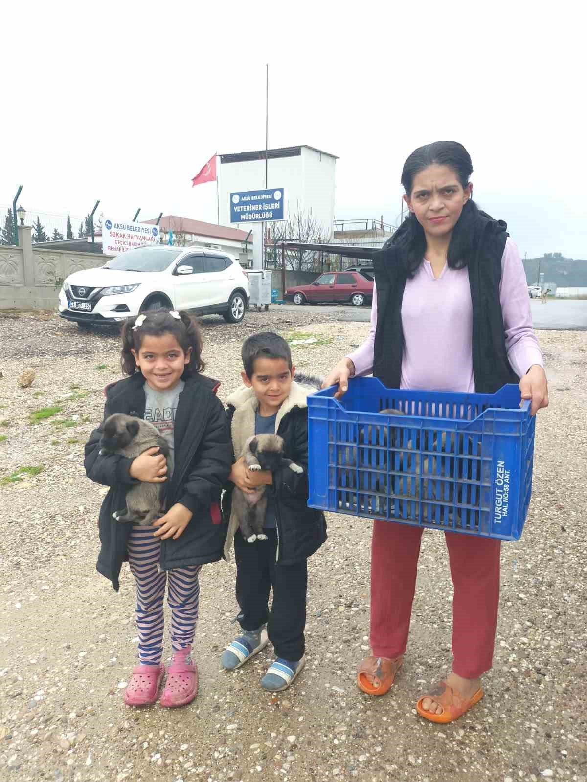 firtina sonrasi devrilen agaclarin altinda kalarak telef olan anne kopegin yavrularina sahip ciktilar 2 3nEUISiZ