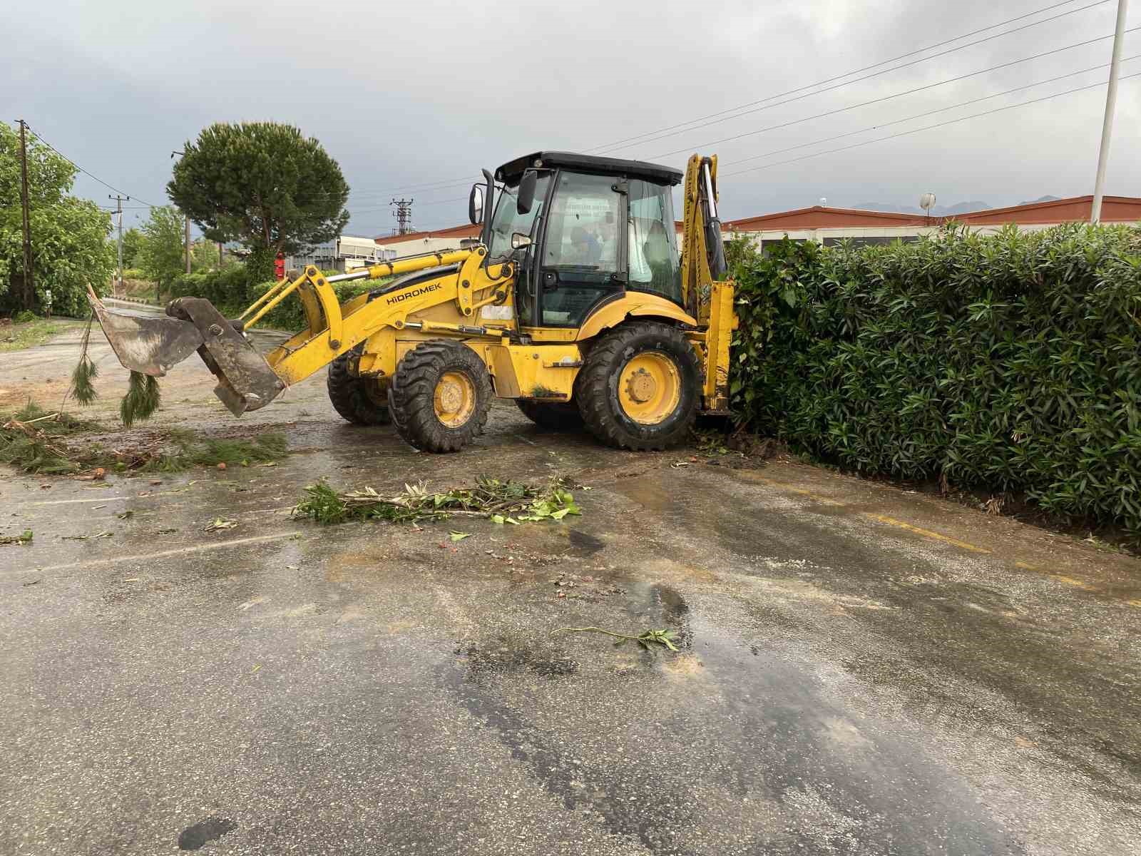 firtinada devrilen cam agaci yolu trafige kapatti 3 FP9UDfz5