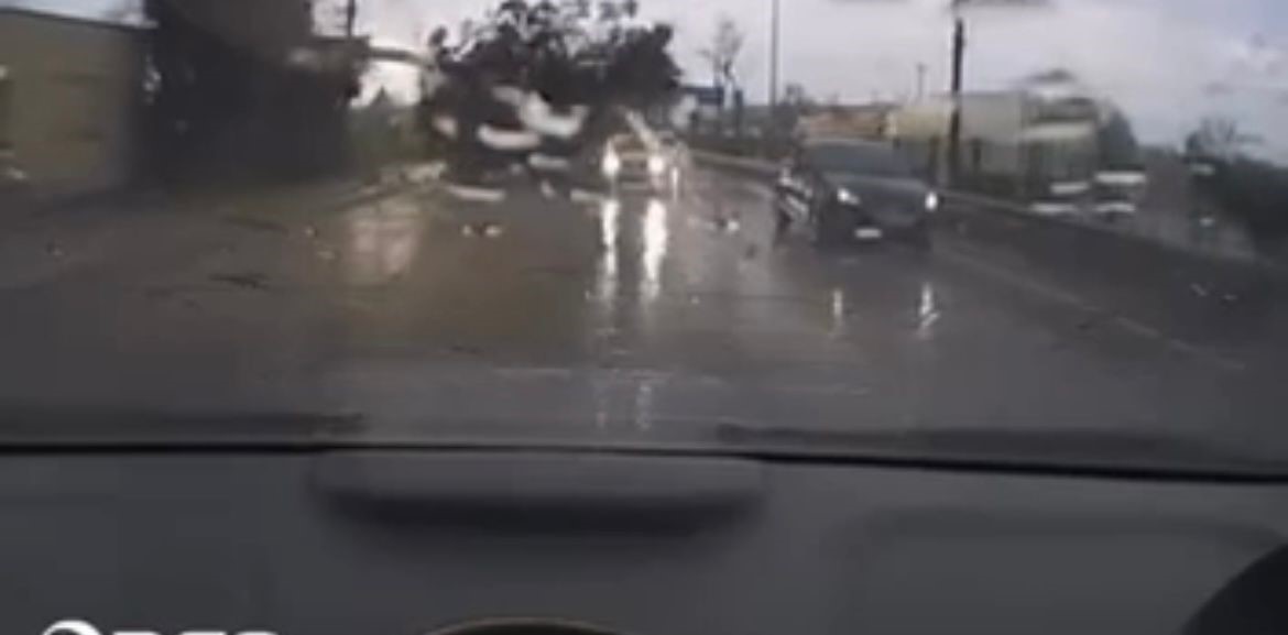 firtinanin agaci devirme ani kamerada 1 DeQVYhlw