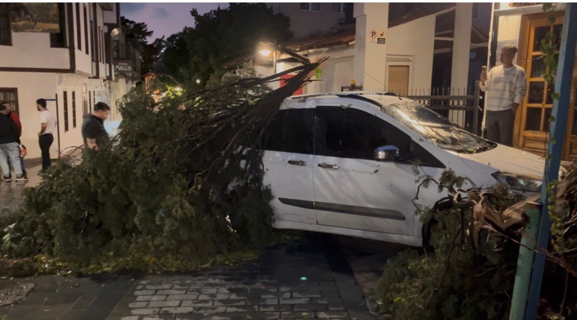 firtinanin devirdigi agac park halindeki aracin uzerine dustu 2 zZWjPDS2