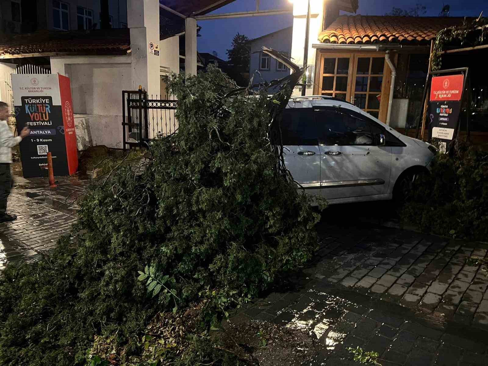 firtinanin devirdigi agac park halindeki aracin uzerine dustu 4 UGy1ILZW