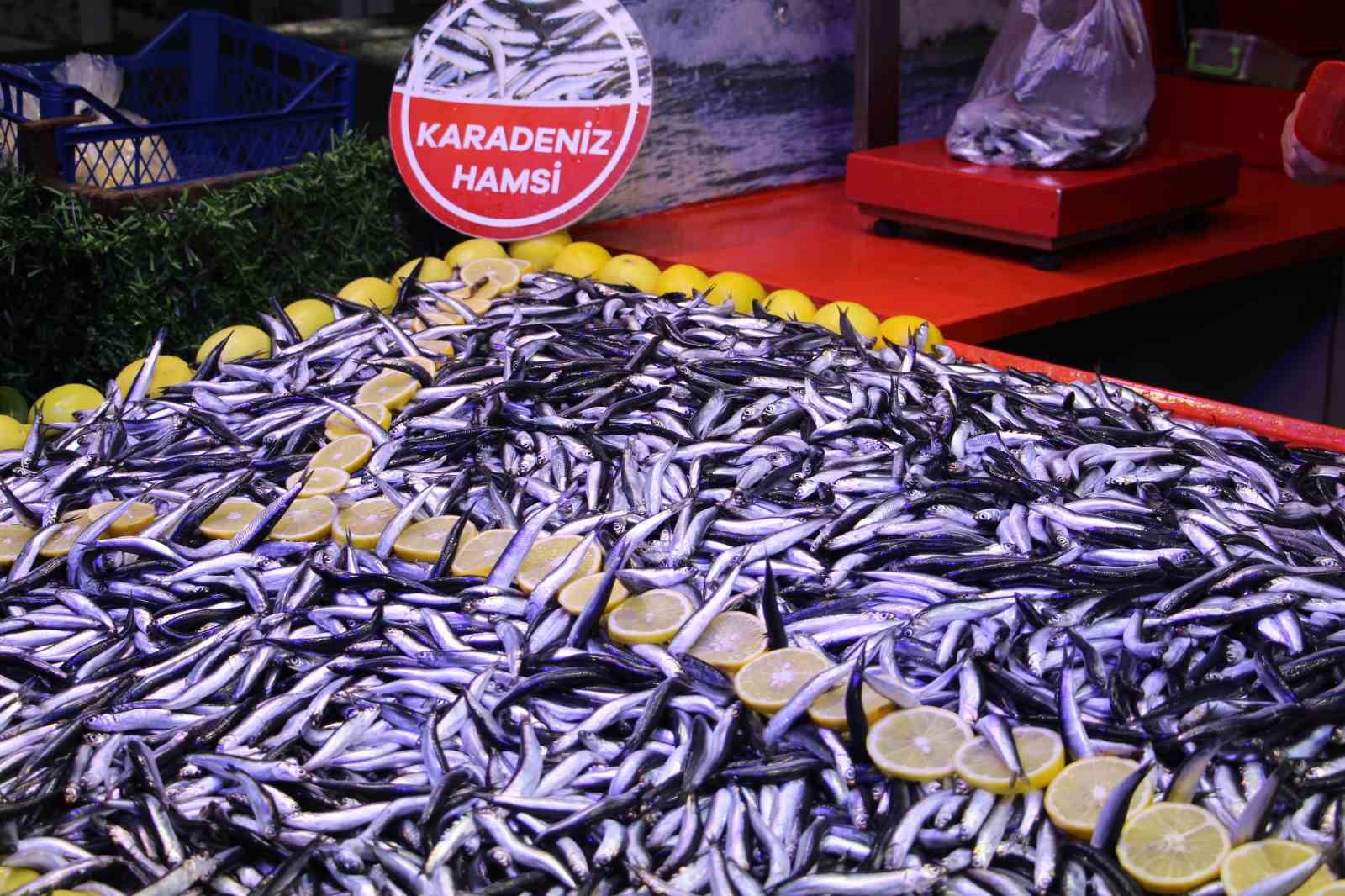 fiyati dusen hamsiye talep artti son 10 yildir boyle guzel hamsi gelmedi 7 kCCyRUKn
