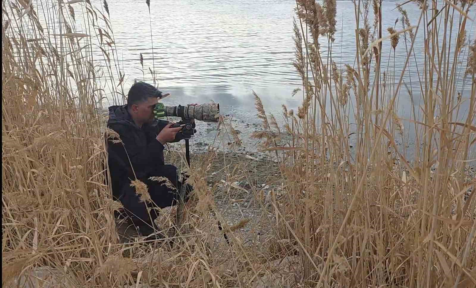 flamingolar van golu havzasina geri dondu 2 SkUpOrvy