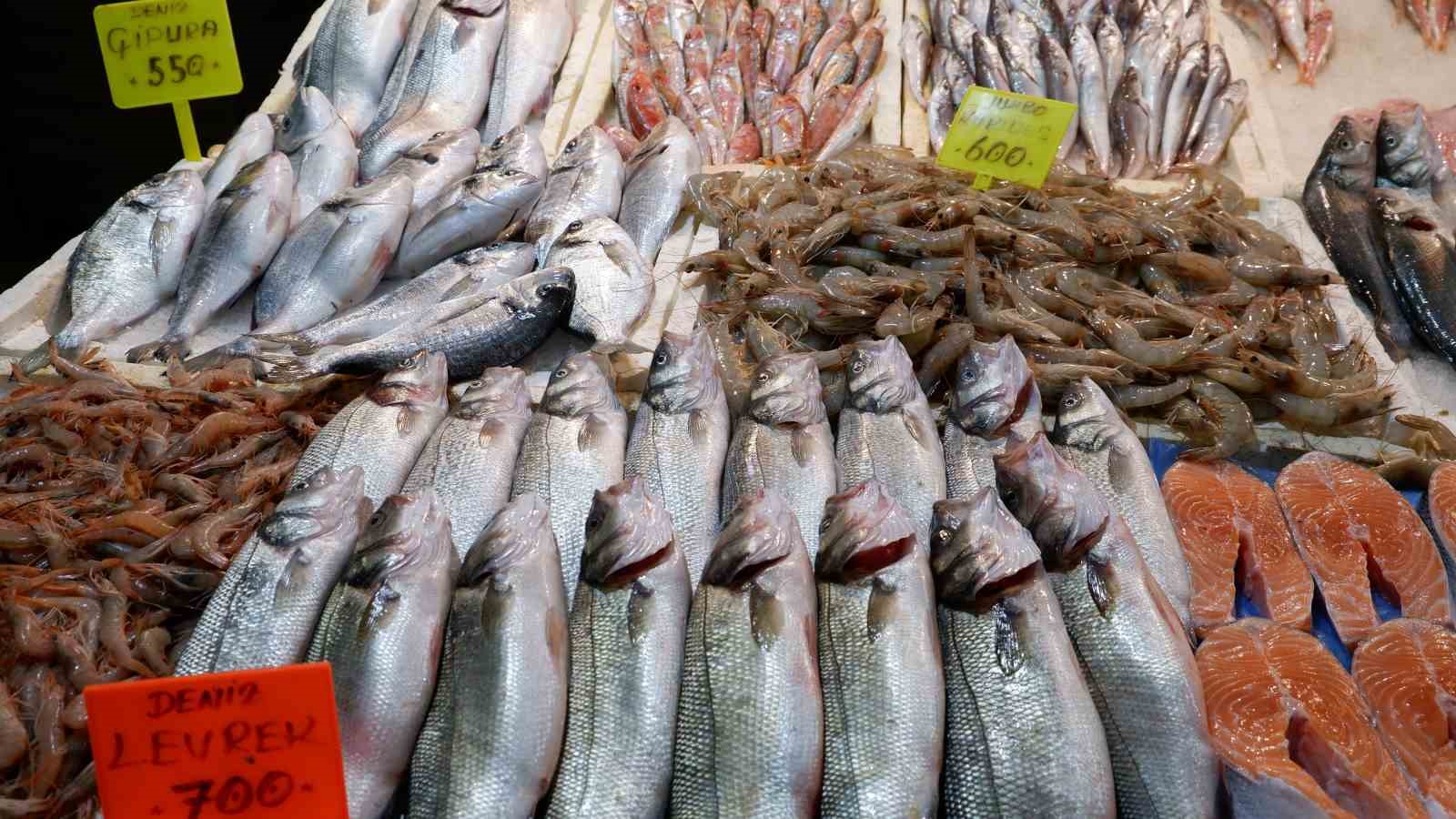 foca balik halinde kis sezonusardalya ve uskumru zamani 1 TVX6nnyC
