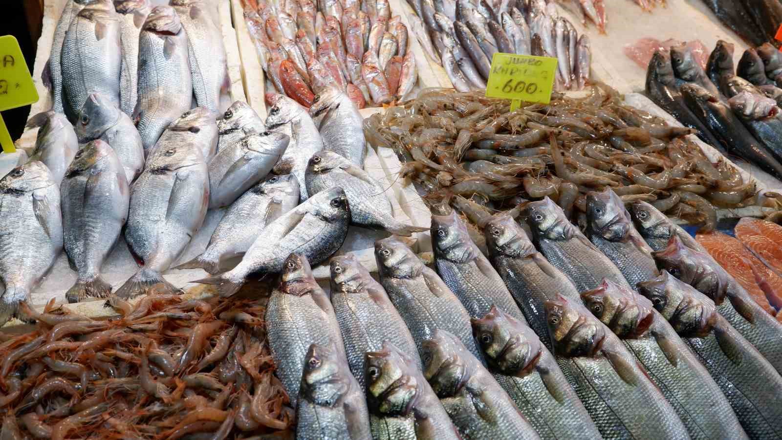 foca balik halinde kis sezonusardalya ve uskumru zamani 2 gyfO1GSZ