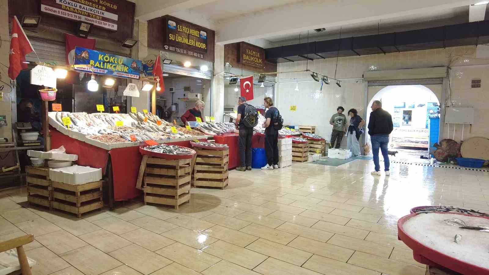 foca balik halinde kis sezonusardalya ve uskumru zamani 4 lQHFP8yG