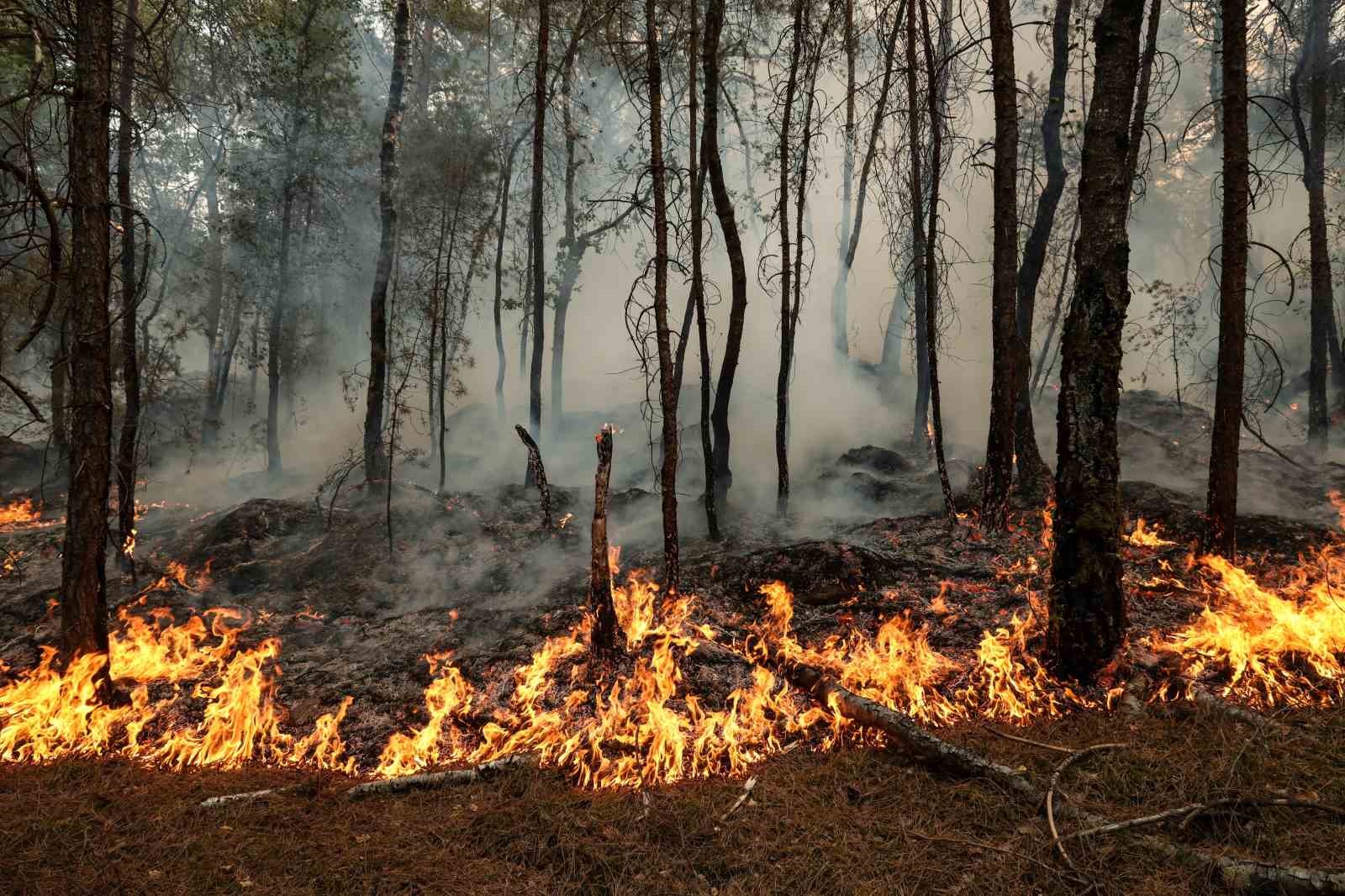 Fransa’daki orman yangını sürüyor: 3 bin dönümlük alan yandı, en az 2 kişi tutuklandı 6 fransadaki orman yangini suruyor 3 bin donumluk alan yandi en az 2 kisi tutuklandi PH7in8fG