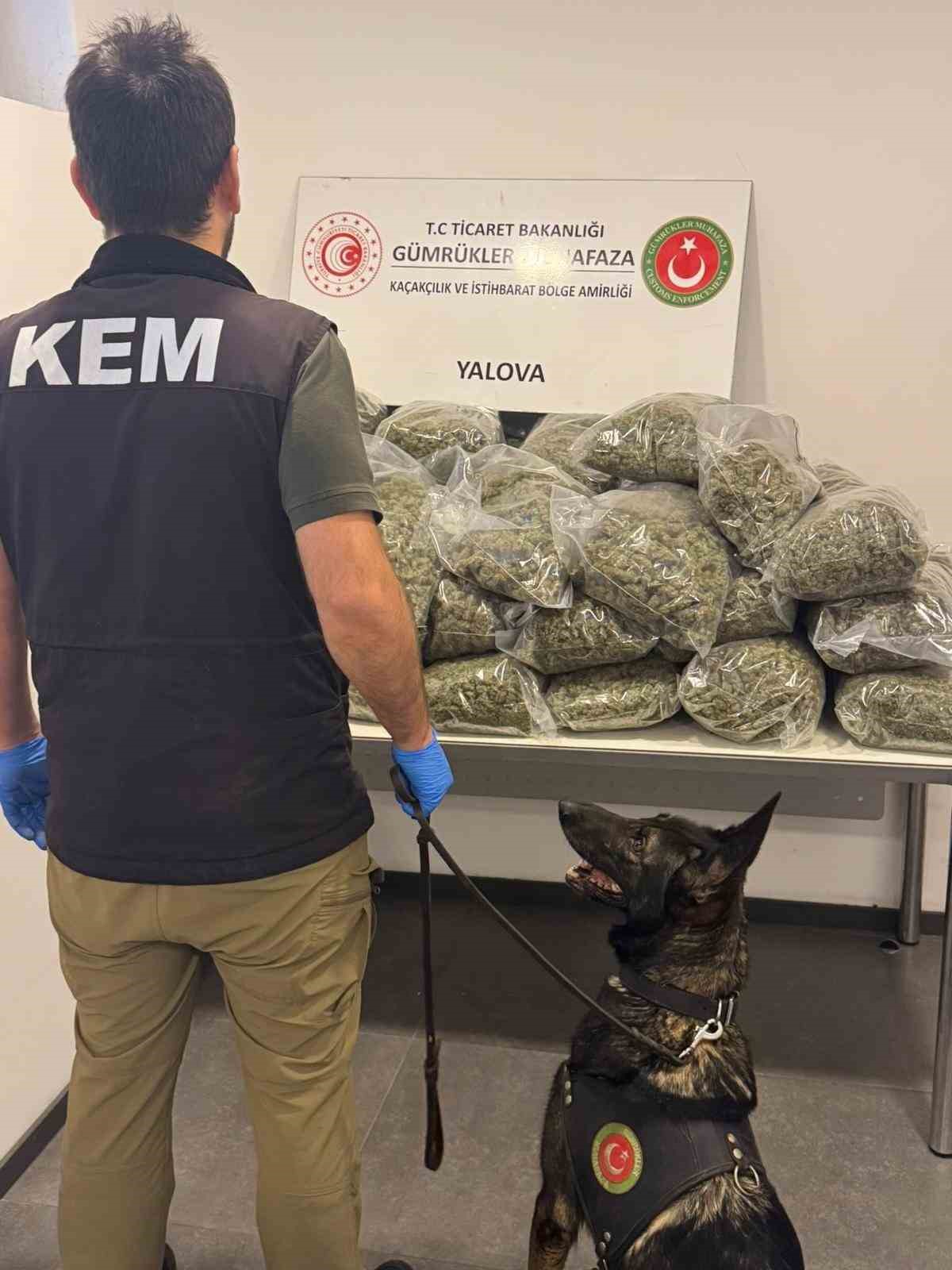 fransadan yalovaya gemiyle gelen tirda 37 kilo uyusturucu ele gecirildi 1 sHwOdXbt