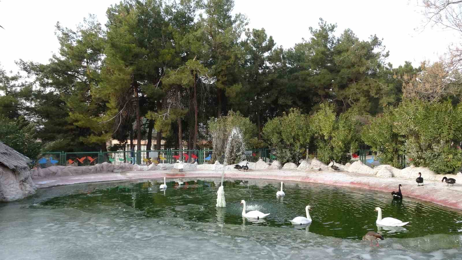Gaziantep Doğal Yaşam Parkı’nda yarıyıl tatili yoğunluğu 5 gaziantep dogal yasam parkinda yariyil tatili yogunlugu 1 vM8RqXif