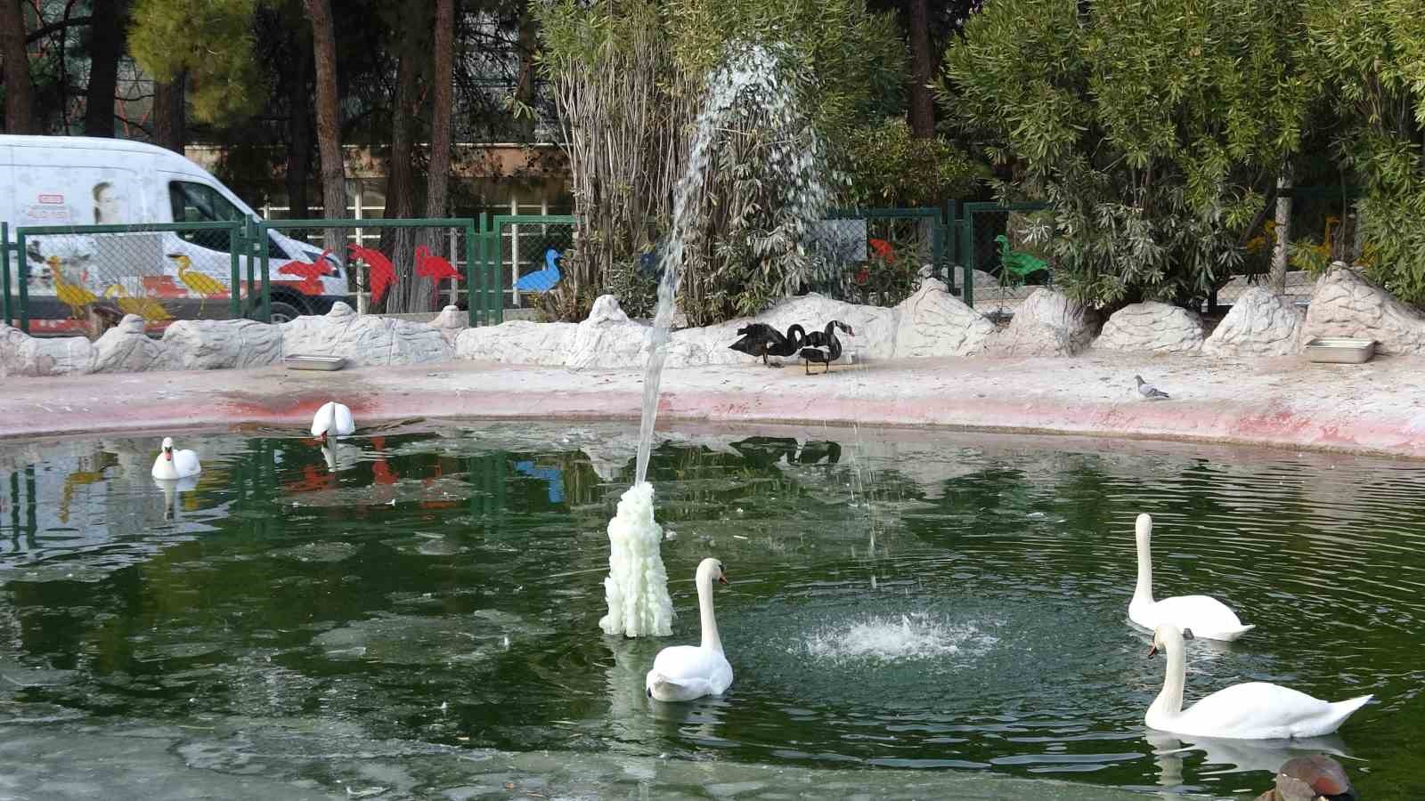 Gaziantep Doğal Yaşam Parkı’nda yarıyıl tatili yoğunluğu 6 gaziantep dogal yasam parkinda yariyil tatili yogunlugu 2