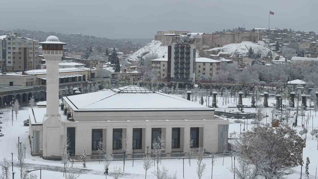 featured