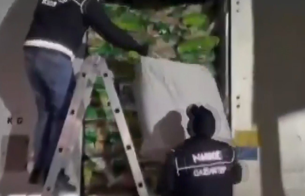 gaziantepte 121 kilo skunk ele gecirildi 1 sahis tutuklandi 1