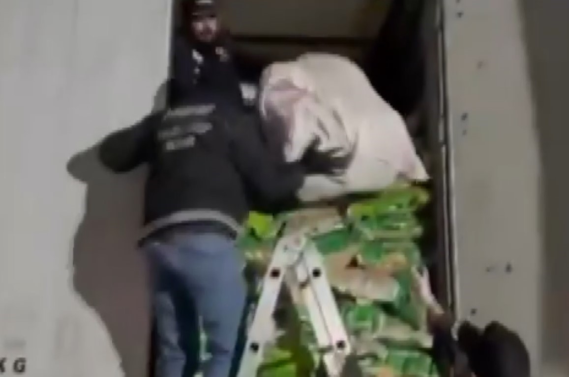 gaziantepte 121 kilo skunk ele gecirildi 1 sahis tutuklandi 2 wCt2JLnI