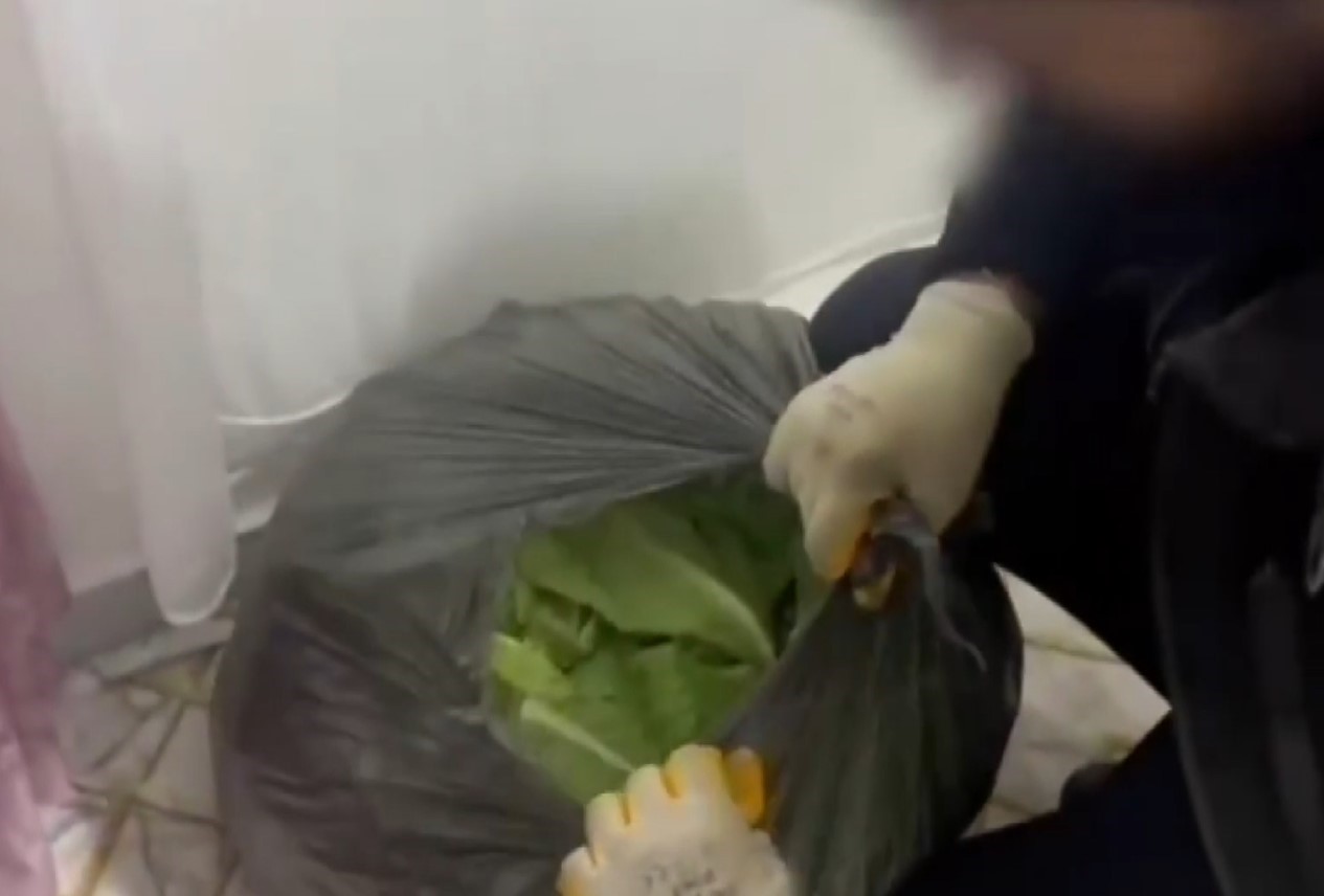 gaziantepte 22 kilo skunk ile cok sayida silah ele gecirildi 7 gozalti 1 kLrd1Xk8