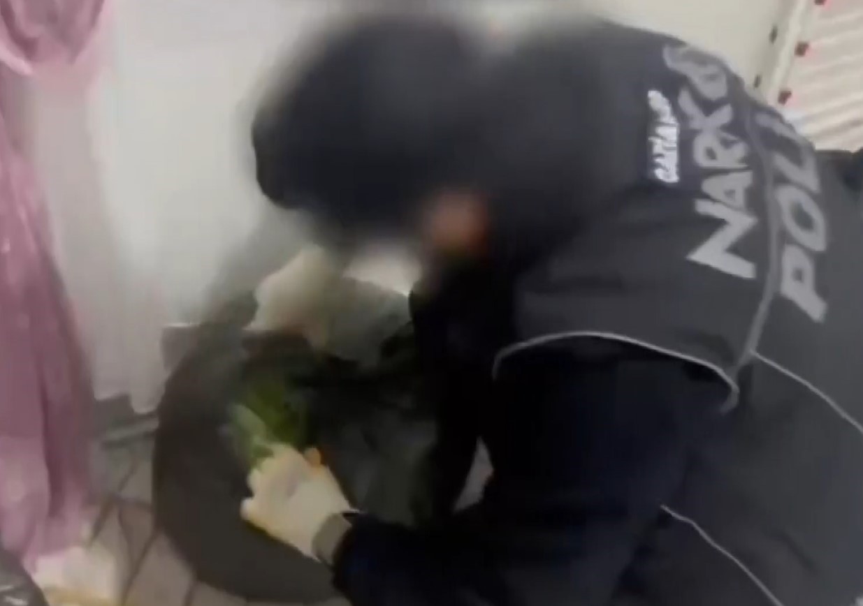 gaziantepte 22 kilo skunk ile cok sayida silah ele gecirildi 7 gozalti 2 cdK6KnOX