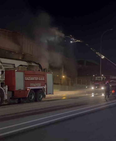 gaziantepte-ambalaj-fabrikasinda-yangin-1-isci-dumandan-etkilendi-f9wAJVBh.jpg