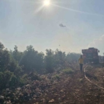 gaziantepte-cikan-orman-yangini-havadan-ve-karadan-mudahaleyle-sonduruldu-n5dAarIx.jpg