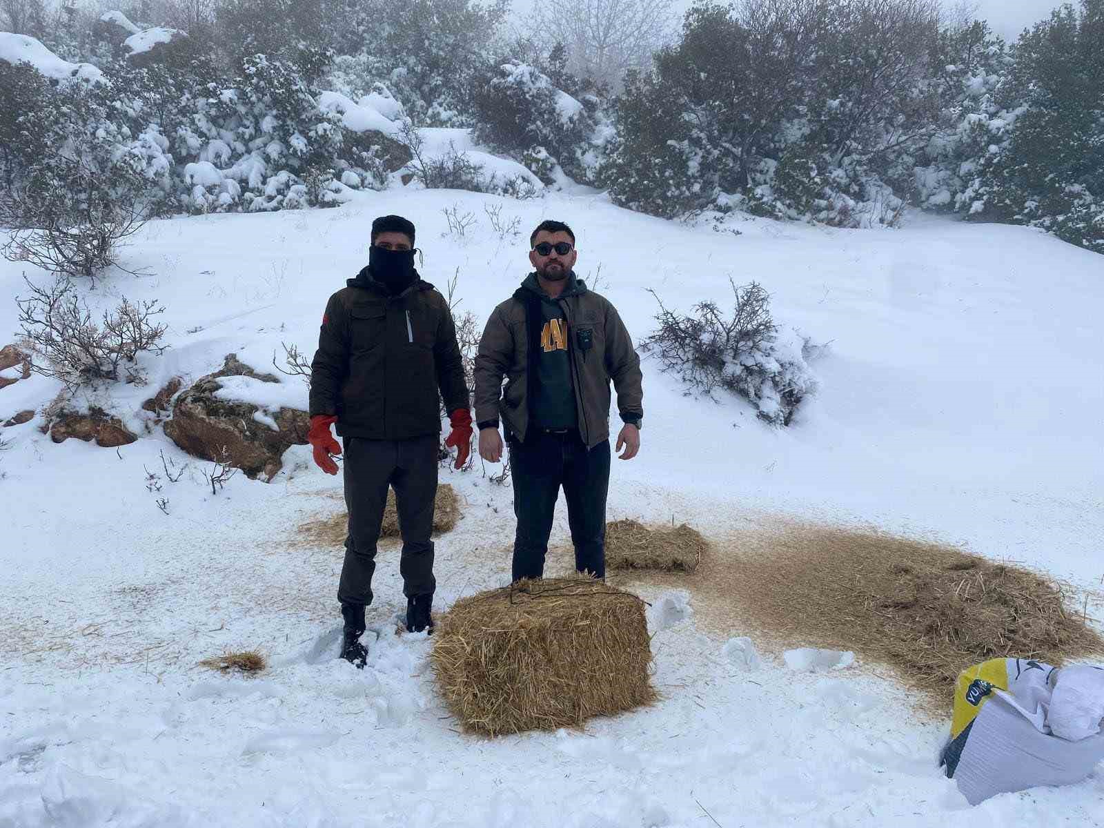 gaziantepte karli havada ac kalan yaban hayvanlari icin dogaya yem birakildi 0