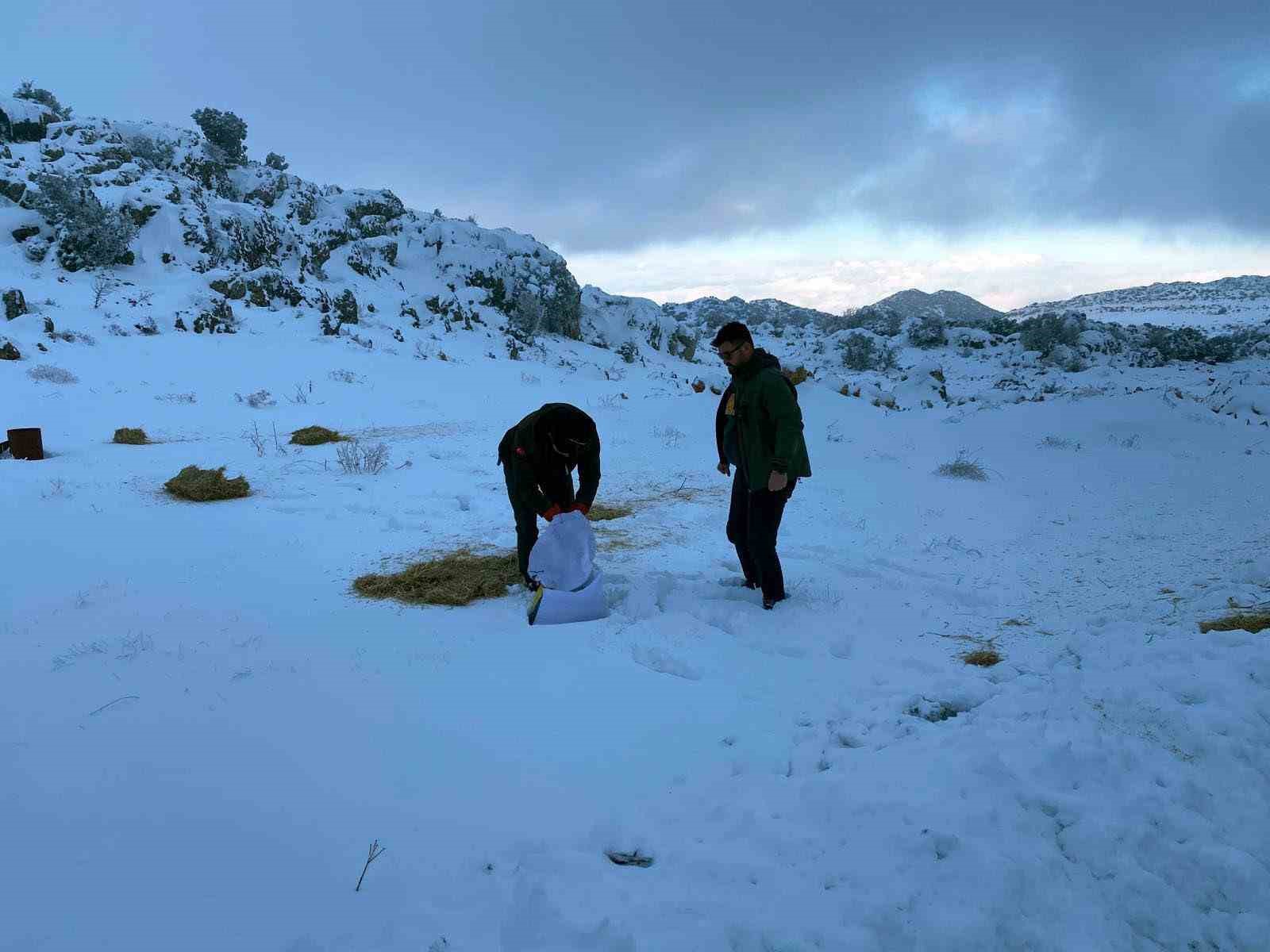 gaziantepte karli havada ac kalan yaban hayvanlari icin dogaya yem birakildi 1 JI3fNNWt
