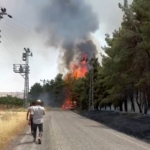 gaziantepte-orman-yangini-zdRamXw6.jpg