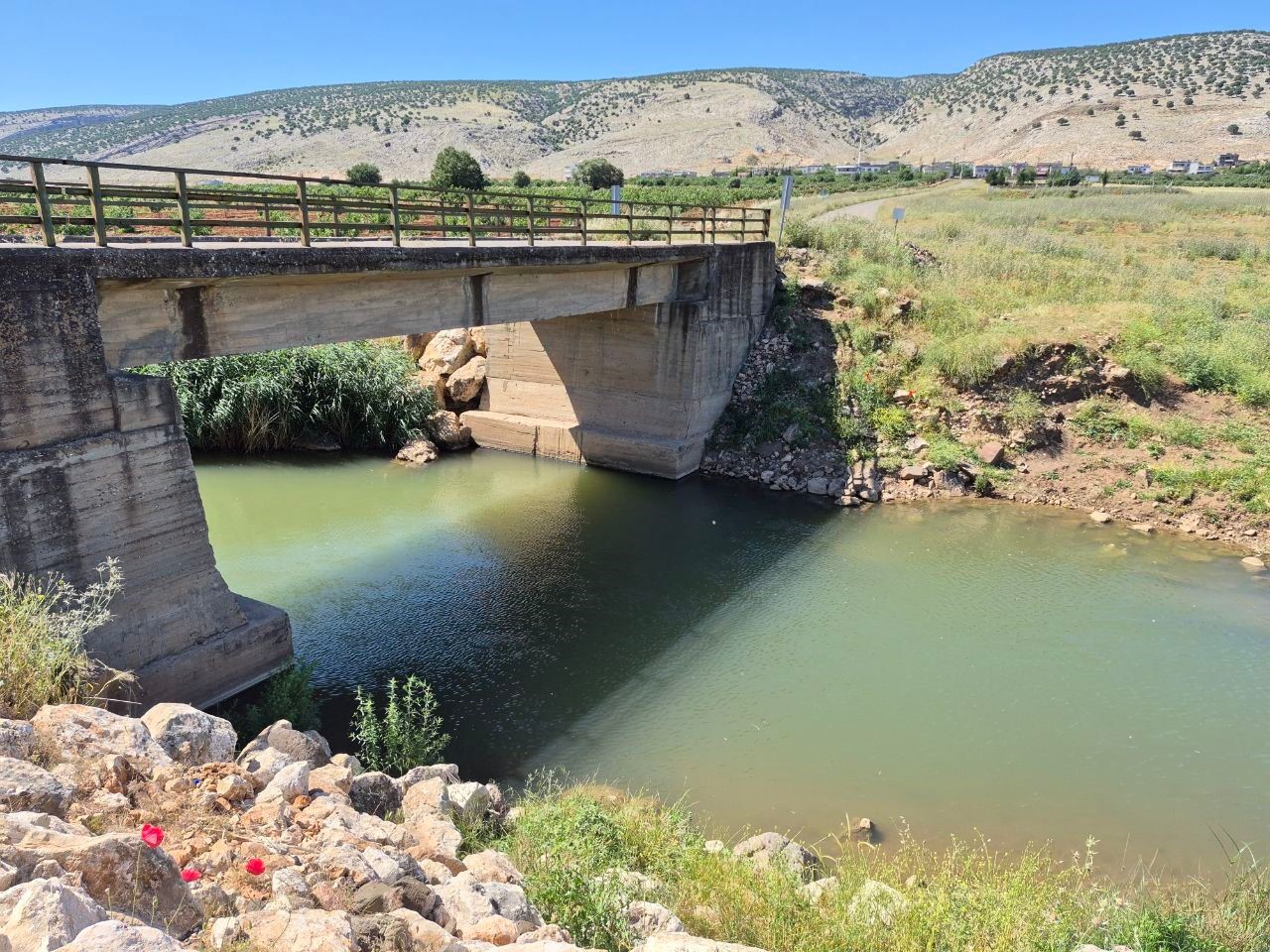 Gaziantep’te serinlemek için dereye giren 16 yaşındaki Vakkas kurtarılamadı 4 gaziantepte serinlemek icin dereye giren 16 yasindaki vakkas kurtarilamadi 0 nlQvKIrS