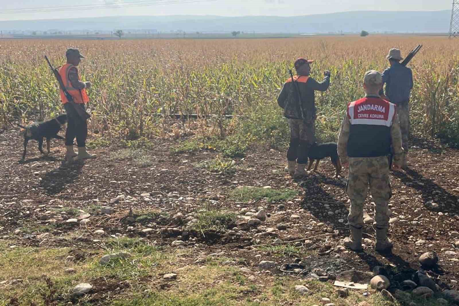 gaziantepte tarim arazilerine zarar veren yaban domuzlari icin surek avi yapildi 0