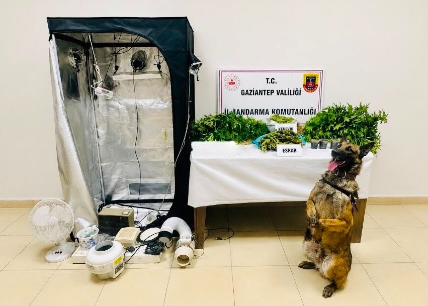 Gaziantep’te uyuşturucu tacirlerine darbe: 14 şahıs tutuklandı 6 gaziantepte uyusturucu tacirlerine darbe 14 sahis tutuklandi 2 qBpPkNCa
