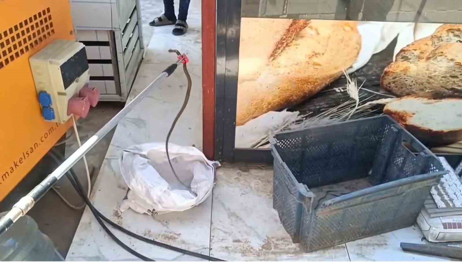 Gaziantep’te yerleşim yerinde yılan paniği 4 gaziantepte yerlesim yerinde yilan panigi 0 WvuFqAQU