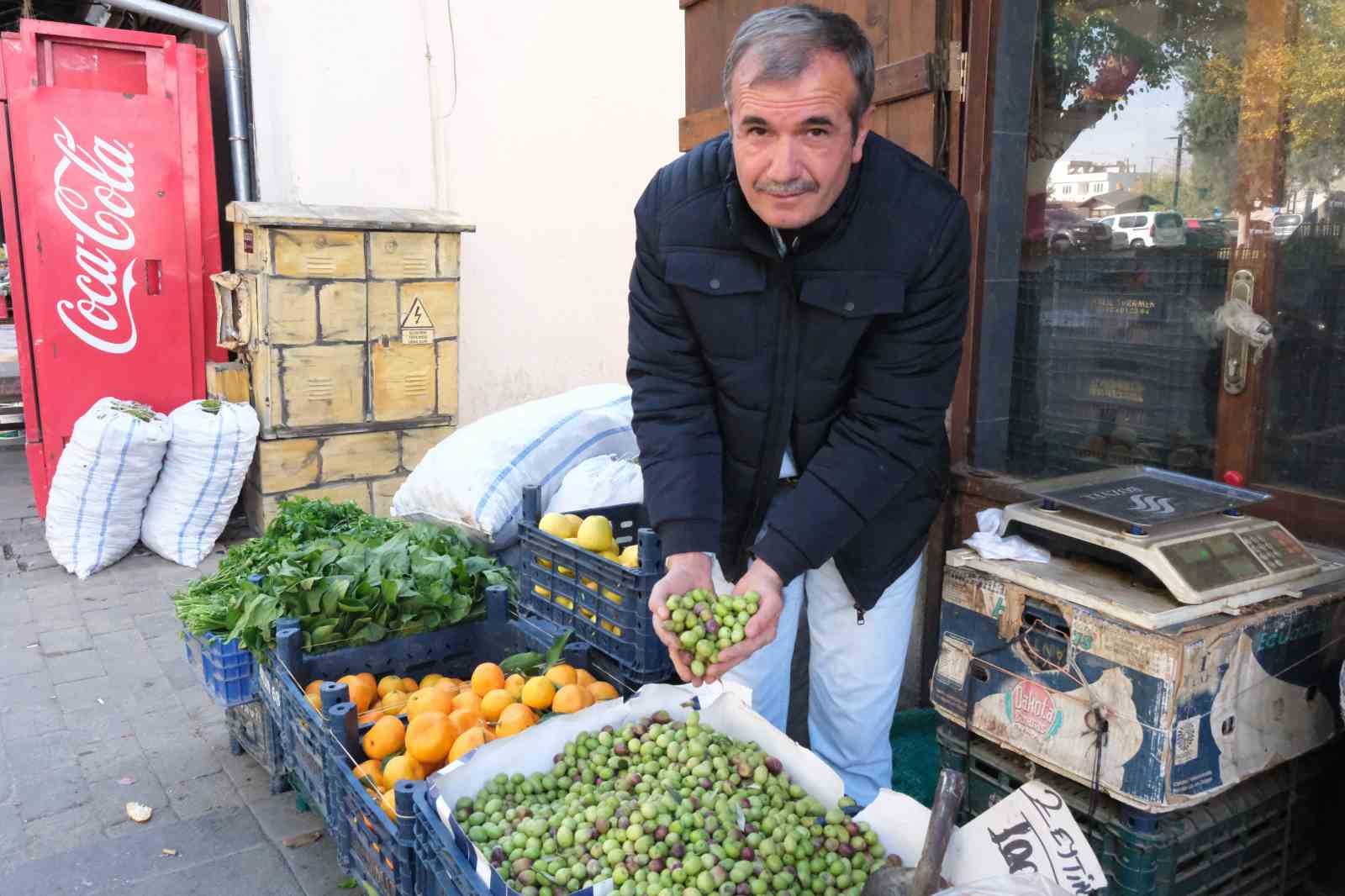 gaziantepte yesil zeytin fiyatlari sabit kaldi 3 rD8likdp