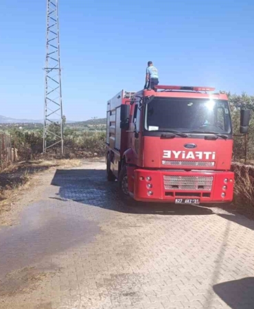 gaziantepte-zeytinlik-alanda-yangin-Zhdexm1T.jpg