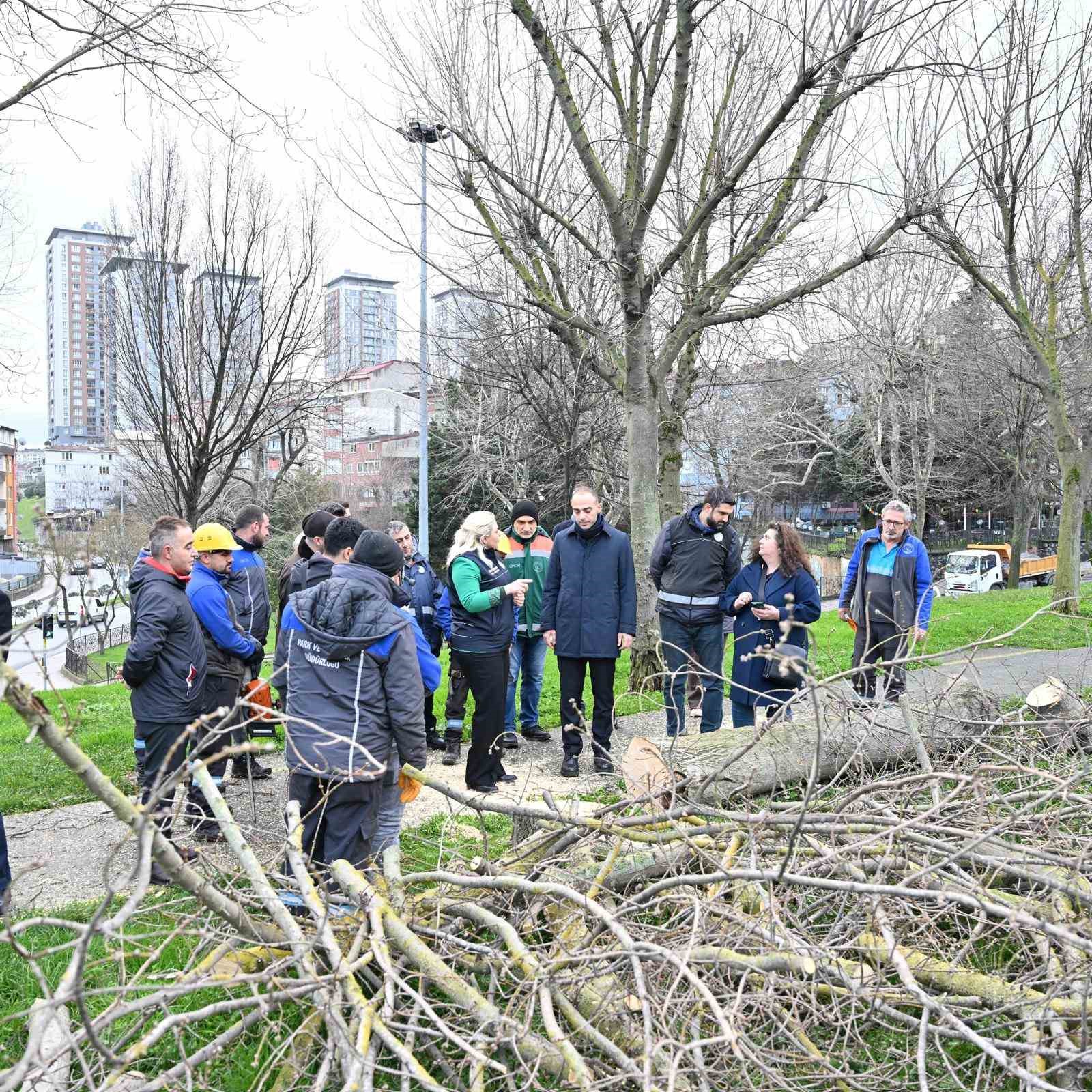 gaziosmanpasada teke bocegi ile mucadele kapsaminda yesil donusum 3