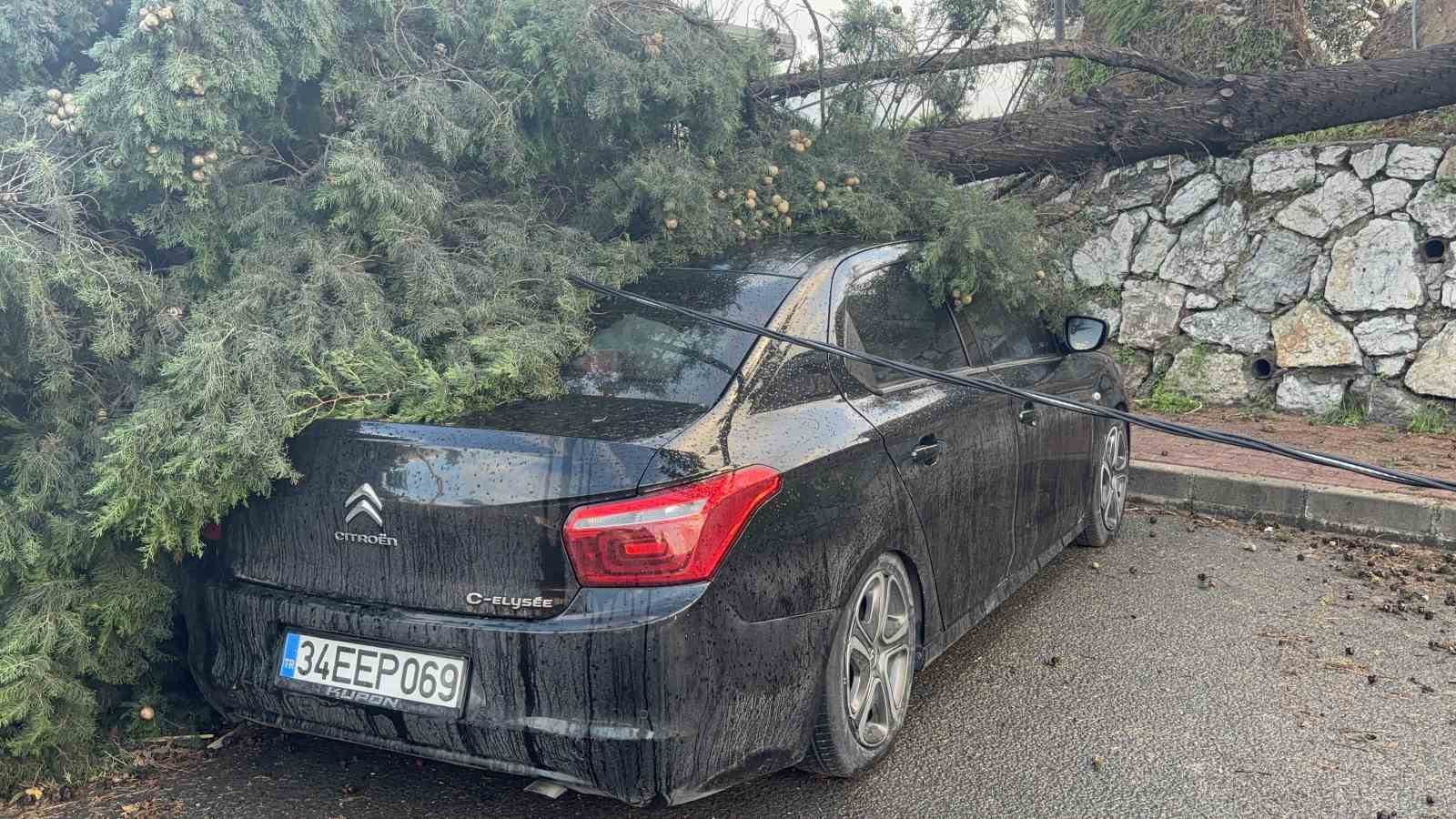 gebzede firtinada iki otomobilin uzerine agac devrildi 2 kNfq7Z4c