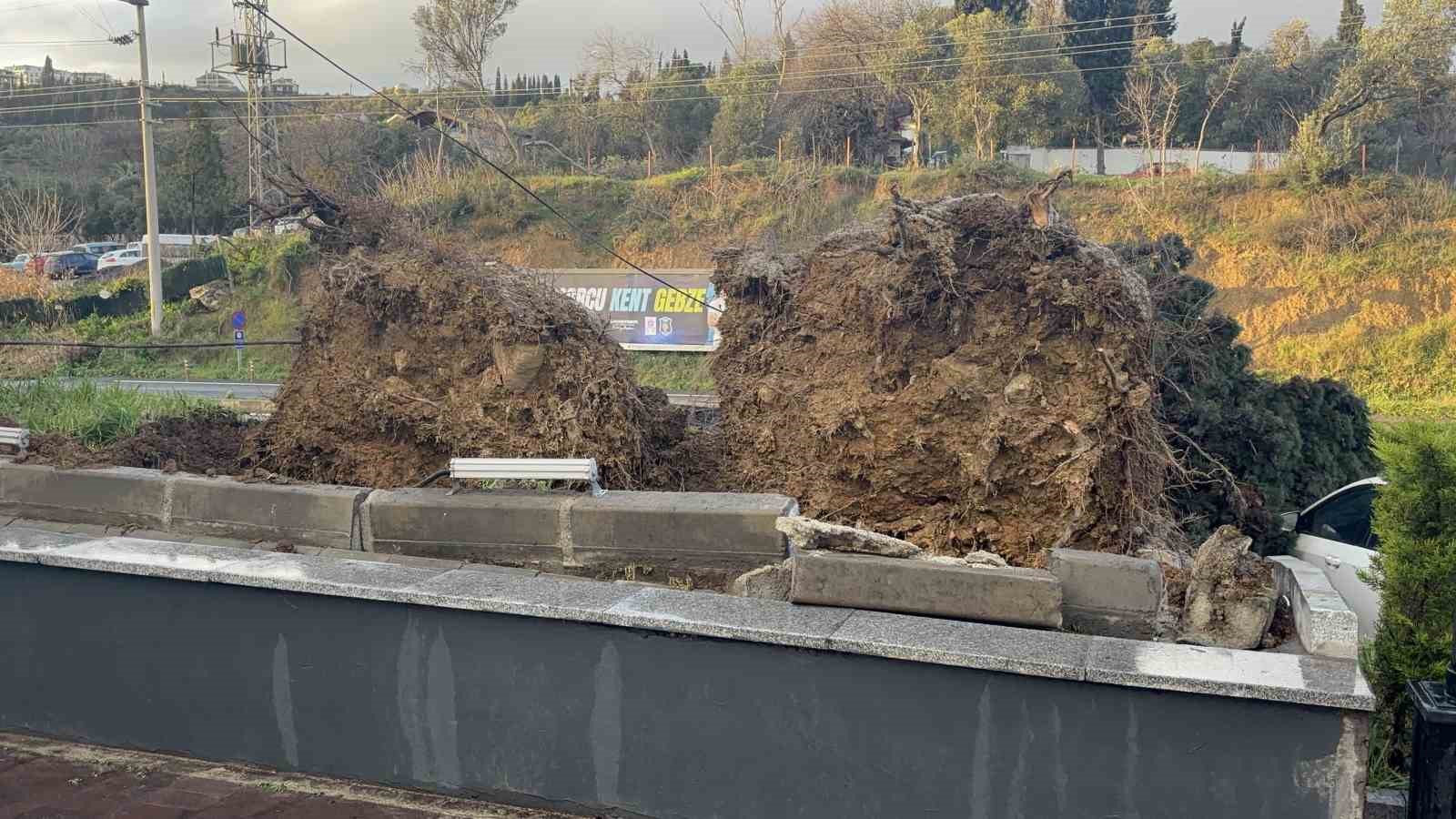 gebzede firtinada iki otomobilin uzerine agac devrildi 4 mJzhNBgw