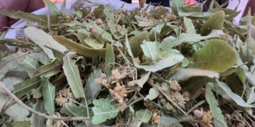 gecen-sene-altinla-yarisiyordu-bu-yil-fiyati-dustu-RjQqrtbM.jpg