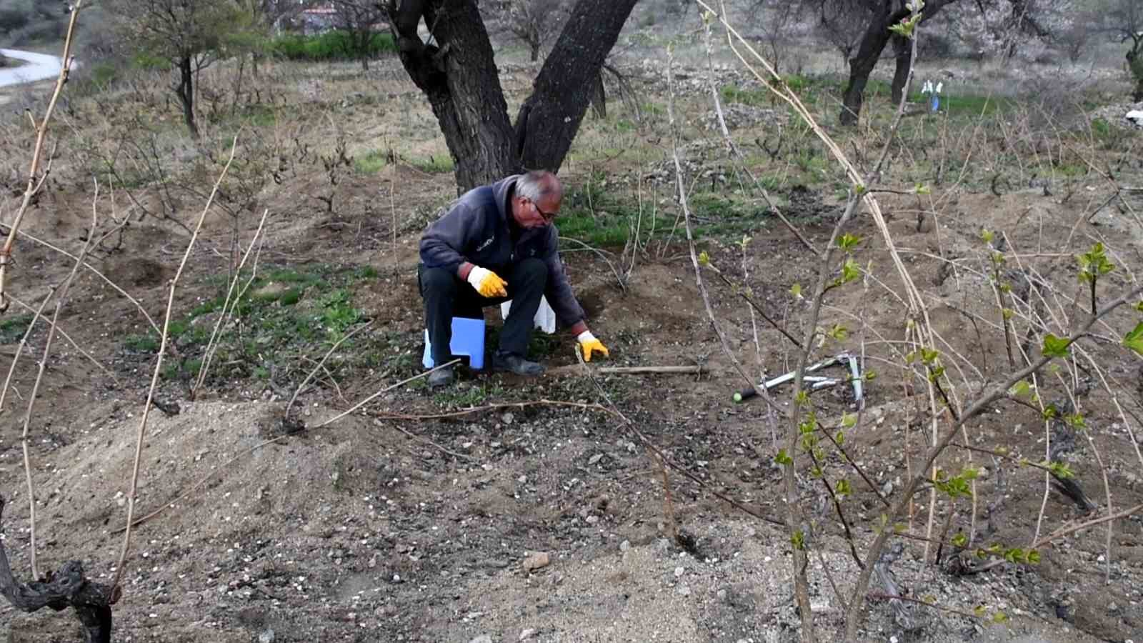 gecen yil don vurmustu yozgatli uzum ureticisi bu yil umutlu 2 z7pWZIIw